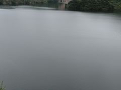 -燕塞湖鸟语林景区