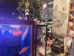 点击看大图 -T.1 hair salon烫染接发