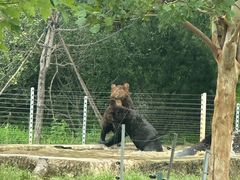 -秦皇岛野生动物园