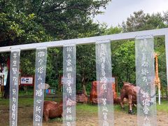 -牛鱼嘴原始生态风景区