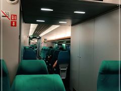 -龙阳路磁悬浮列车总站-停车场