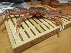 -鮨桐日本料理(望京店)
