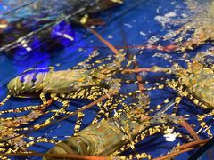 -三亚火车头万人海鲜广场