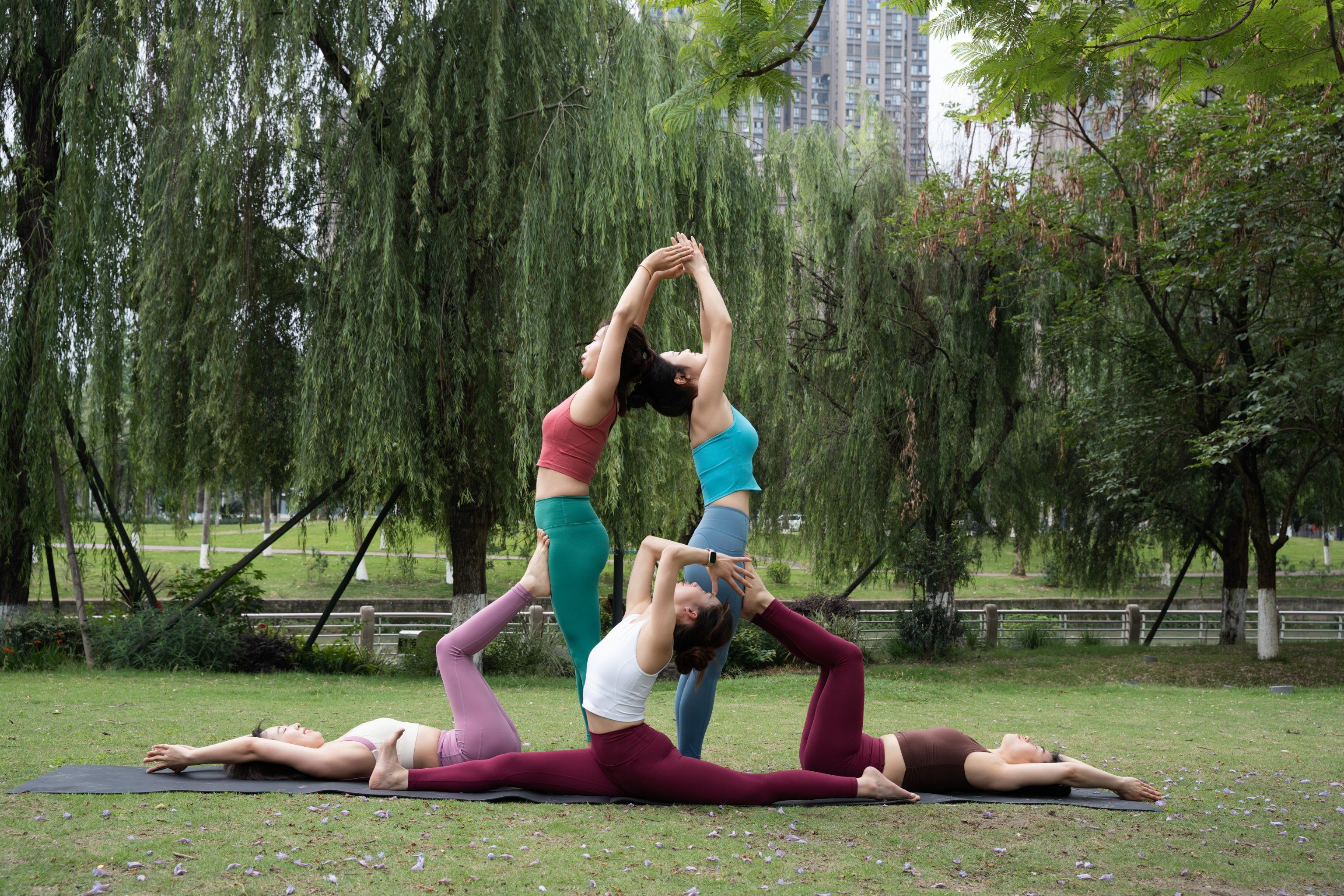 公园瑜伽快乐多