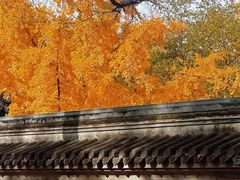 -北京国子监胡同