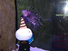 -合肥海洋世界
