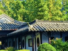 -梅园