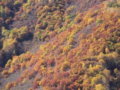 景点-木兰围场