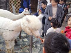 -上海大自然野生昆虫馆(东方明珠·爬宠昆虫探索中心)