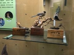 -陕西自然博物馆
