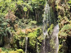 -成都杜甫草堂博物馆