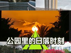 -华侨公园