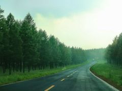 -塞罕坝国家级自然保护区