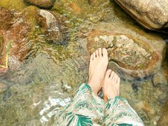 -白塘生态植物园