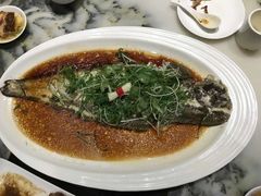 -海王老记