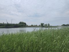 -苏州太湖湖滨国家湿地公园