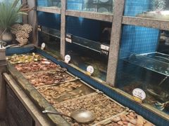 -码头鲜精致威海菜(欧乐坊店)