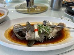 -东方御宴海鲜酒楼(棕泉酒店)