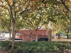 -上海惠灵顿外籍人员子女学校