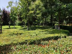 -西安汉城湖景区