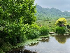 -中国茶叶博物馆(双峰馆区)