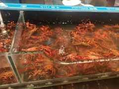 -星伦多自助料理·涮烤一体(江桥万达店)