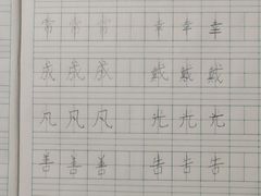 -赵汝飞练字硬笔书法(长寿路校区)