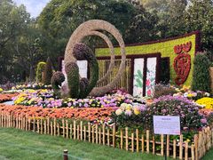 -上海共青森林公园