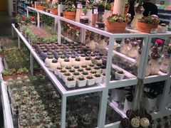 -KKV(深圳宏发大仟里店)