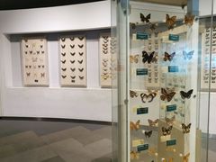 -陕西自然博物馆