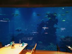 -海棠湾洲际-涛·海底餐厅·美人鱼·自助餐·海底隧道