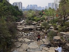 -桃花岭景区