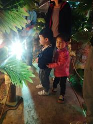 -恐龙探索乐园(磁器口店)