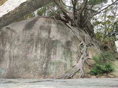 -草庵摩尼教遗址公园