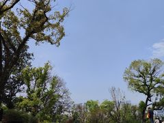 -乌山风景区