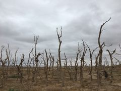 -二连浩特国家地质公园