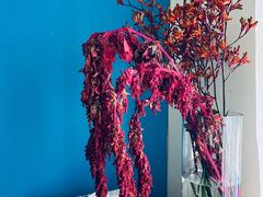 -宝库女装店(绿地缤纷广场店)