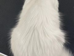 -comecome来吧宠物(奥克斯中心店)