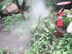 -呀诺达热带雨林