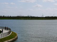 -南汇嘴观海公园