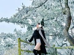 -洛阳白云山景区