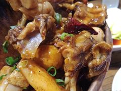 -老佛爷蛙锅•鲜蛙煲(麦凯乐店)