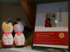 -猫的天空之城概念书店(丽江古城饮玉巷店)