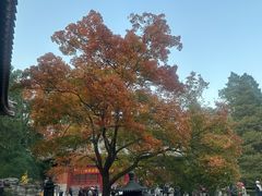 -香山公园
