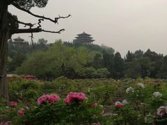 景点-景山公园