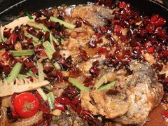 老板恋上鱼-老板恋上鱼(高新万达店)