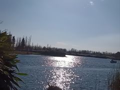 -呈贡滇池生态湿地公园