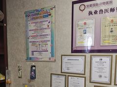 -宠爱国际动物医院·疑难骨科·心肾内科·皮肤科(太阳宫店)