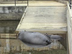 -合肥野生动物园