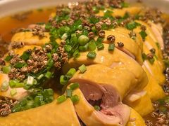 椒麻白切三黄鸡-老板恋上鱼(振华商厦店)